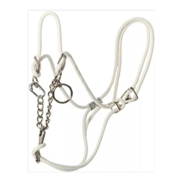 White Yearling Hackamore Halter Show Grooming & Cattle Lead